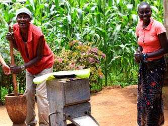 Visite de plantations de café à Marangu