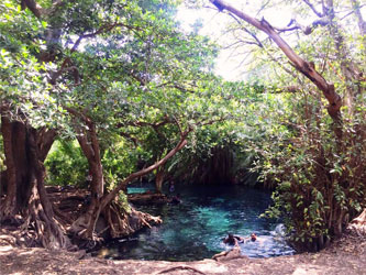 Paradis caché et inattendu dans le désert