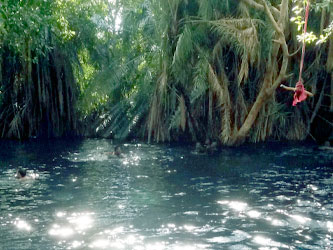 Hotsprings Tanzania natural pool