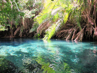 Kikuletwa Hotsprings