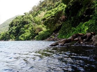 Nature du lac Chala