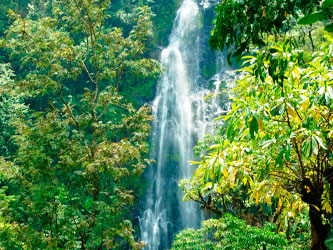 Chutes d’eau à Materuni