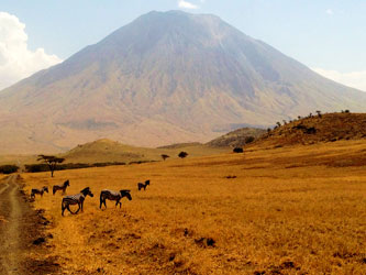 Ol Doinyo Lengai Volcan Tanzanie