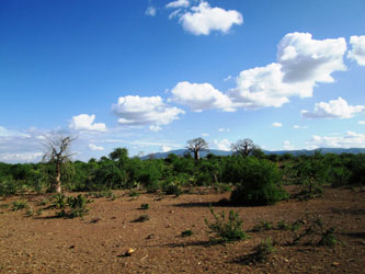 Les environs des chutes d'eau chaude de Kikuletwa