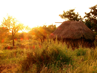 Sunset in the Lake Manyara village