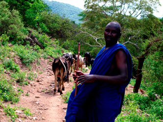 Ganado masai