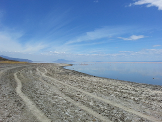 Safari Lago Natron Tanzania