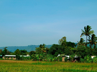 Aldea Mto wa Mbu, Lago Manyara