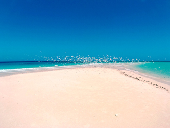 Banc de sable à Panganie