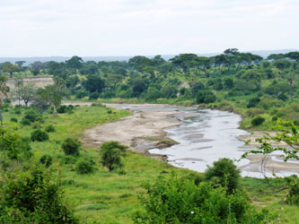 Vistas de Tarangire