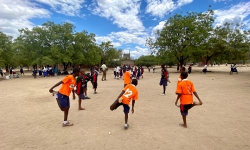 Sport and health in schools